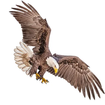 Domáce Výzdoba Steny Odtlačkový Krytý Realistické Eagle Obtlačky Zvierat Nálepky, Pvc Miestnosti Dekorácie
