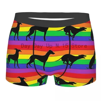 S Rainbow Greyhound Psa Spodky Breathbale Nohavičky pánske spodné Prádlo Sexy Šortky Boxer Nohavičky