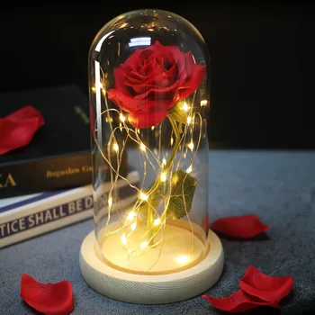 Večný Rose Krásy Šelmy Umelý kvet v Sklenenou Kupolou s led pre Domova Nový Rok, Vianoce valentínsky Darček